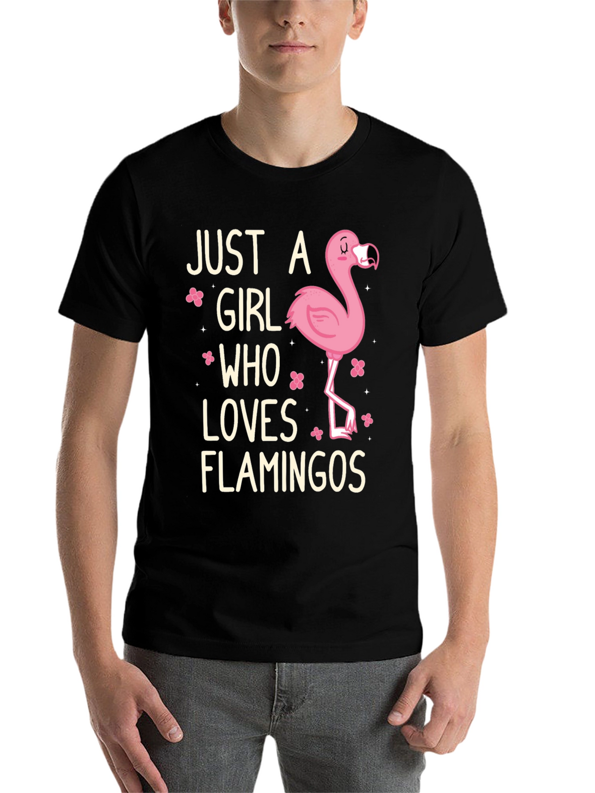 Just A Girl Who Loves Flamingos T-Shirt