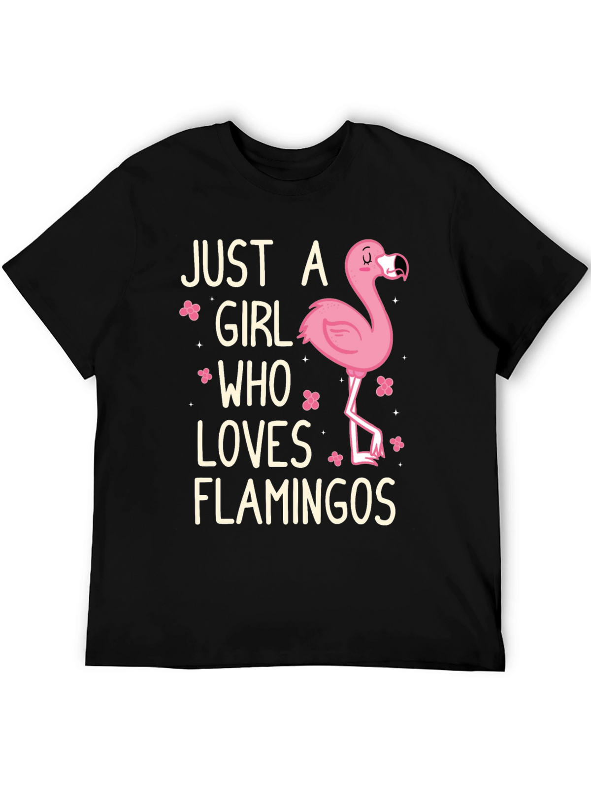 Just A Girl Who Loves Flamingos T-Shirt