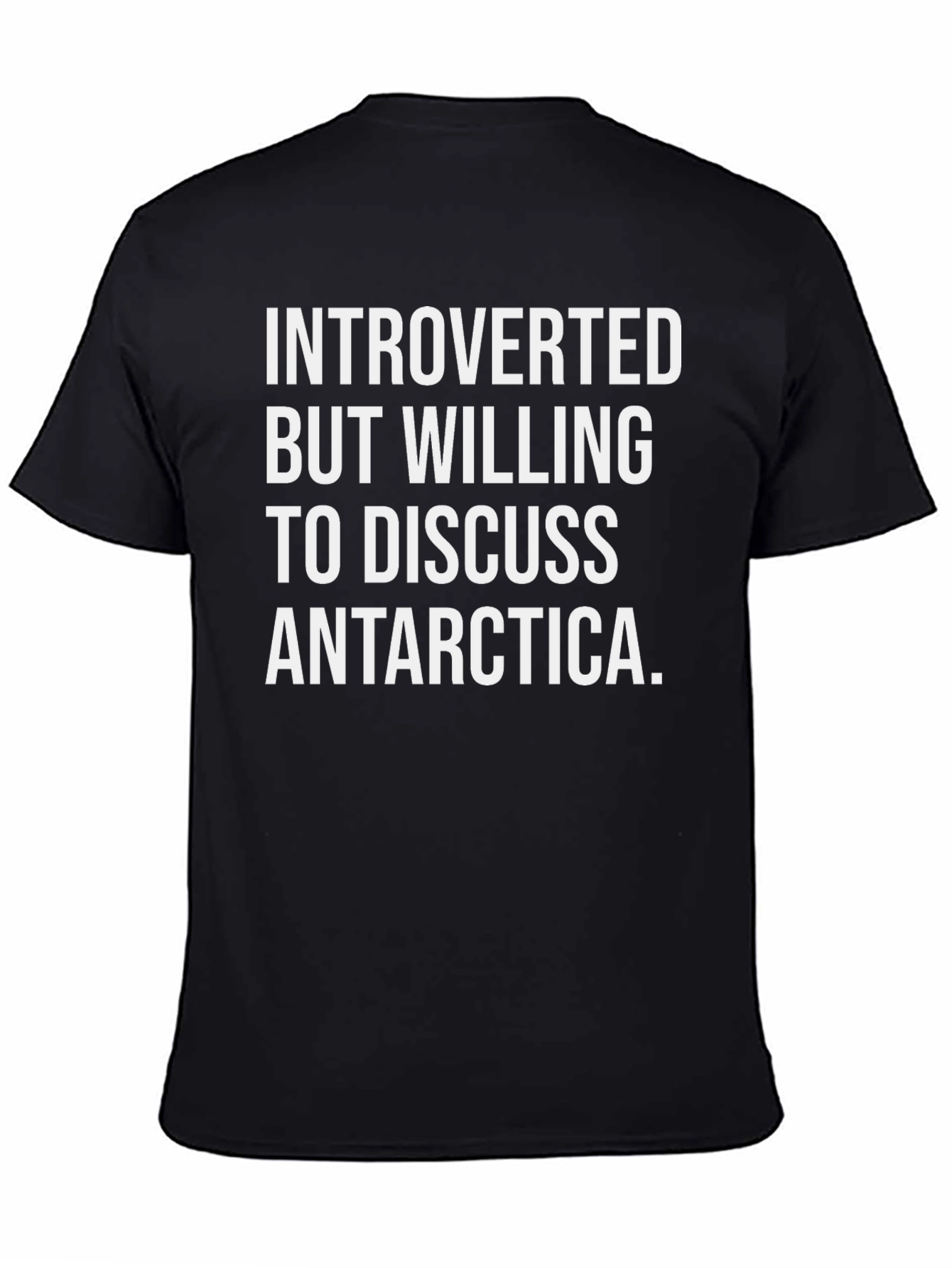 Introverted Antarctica T-Shirt