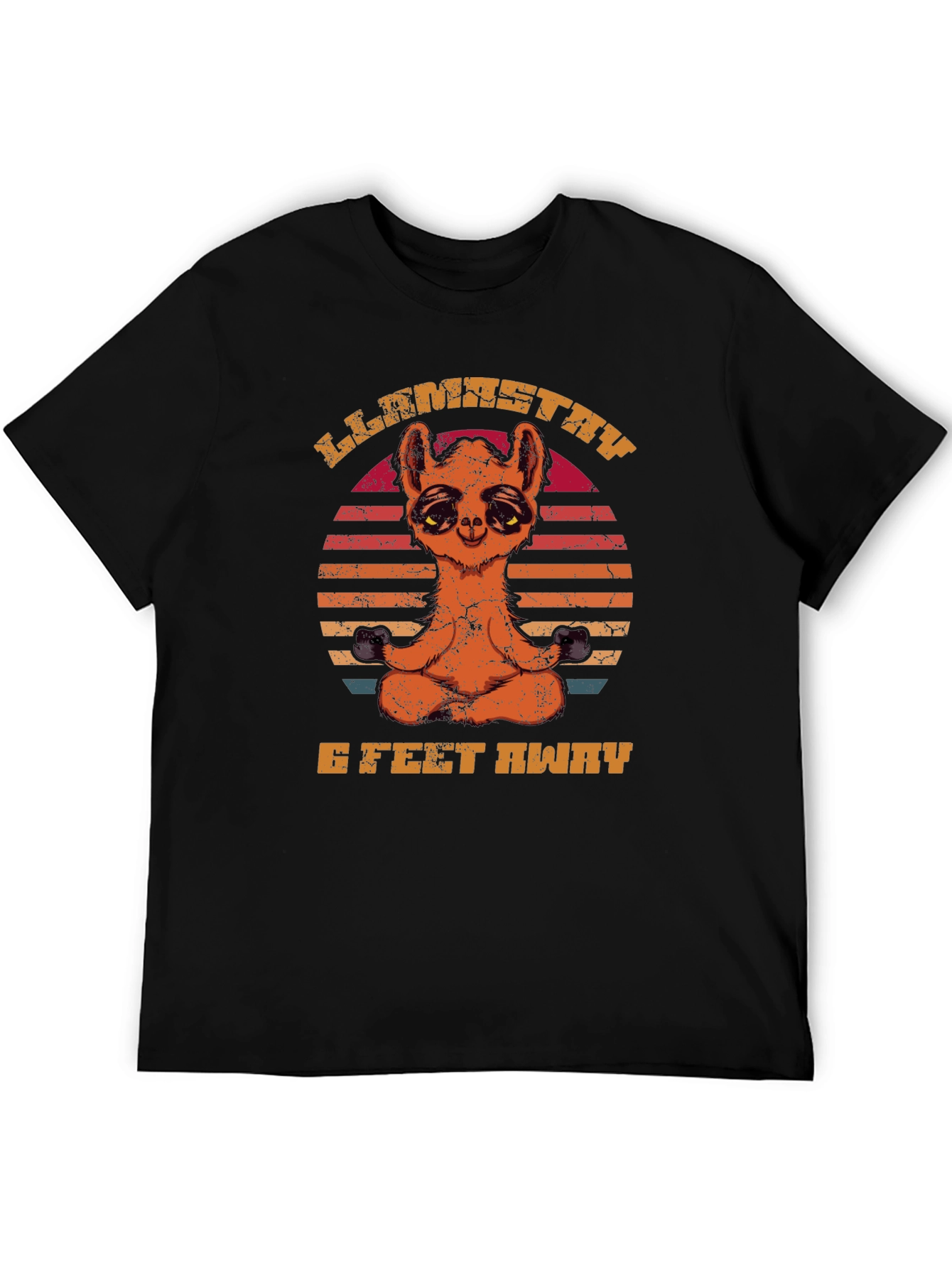 Llamastay 6 Feet Away Funny T-Shirt