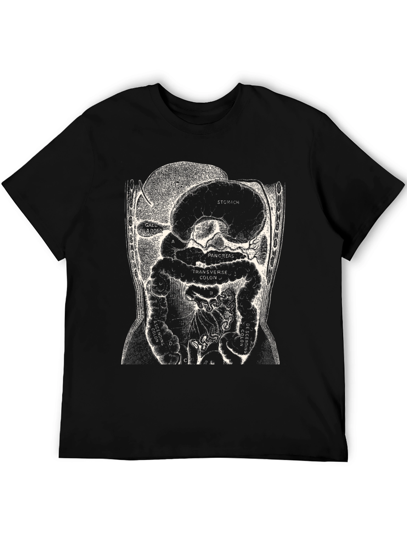 Anatomy T-Shirt - Digestive System Graphic Tee