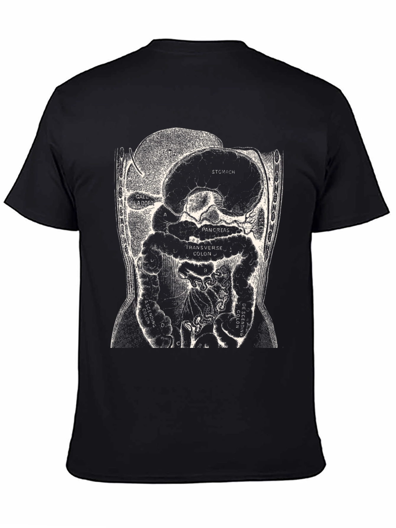 Anatomy T-Shirt - Digestive System Graphic Tee