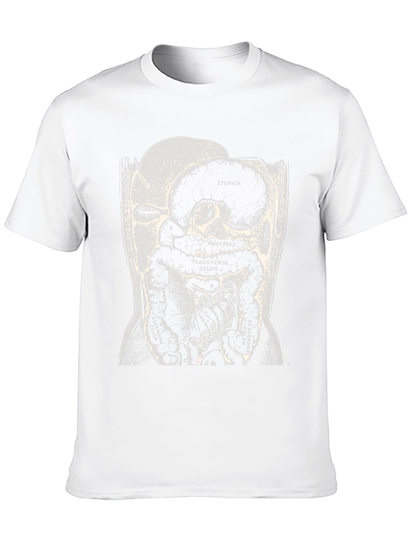 Anatomy T-Shirt - Digestive System Graphic Tee