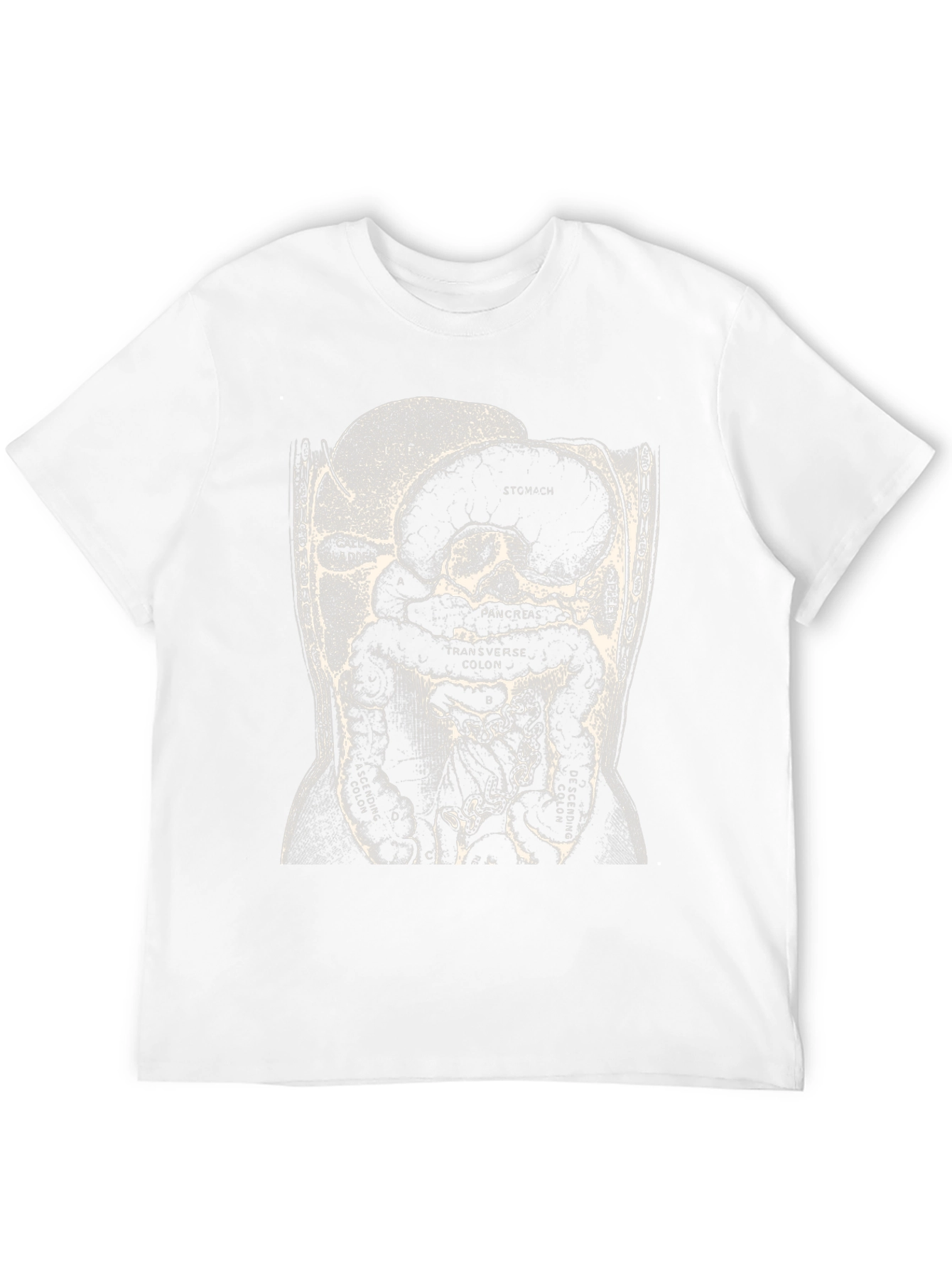 Anatomy T-Shirt - Digestive System Graphic Tee