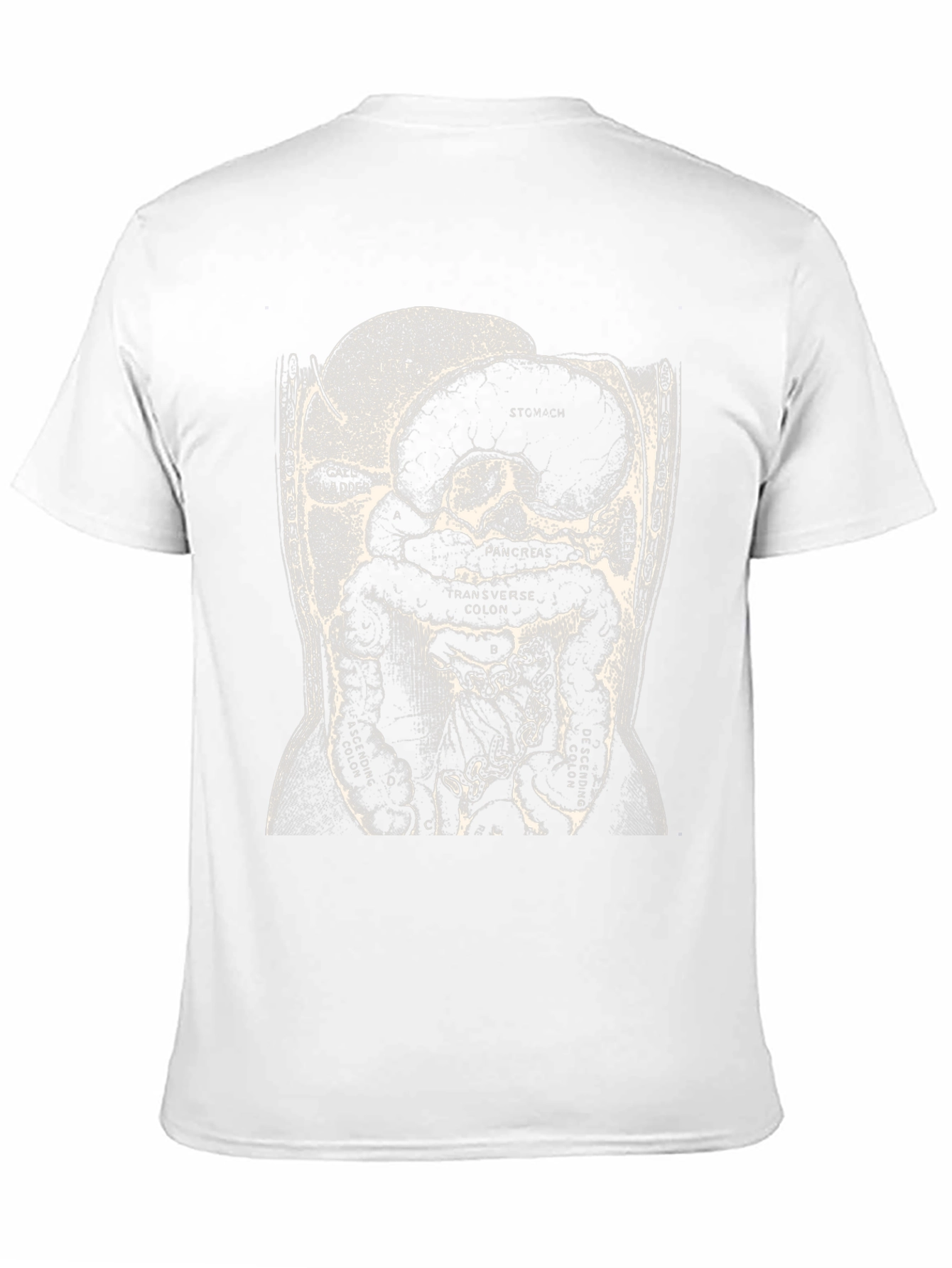 Anatomy T-Shirt - Digestive System Graphic Tee