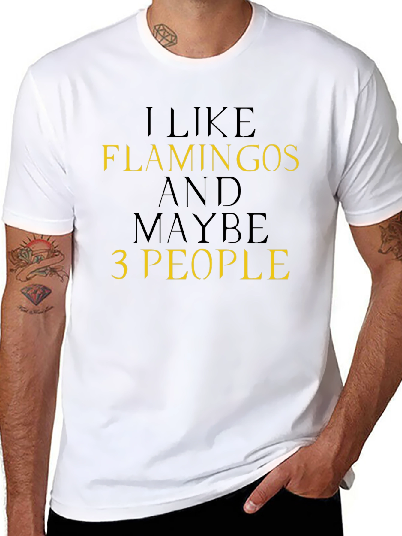 I Like Flamingos T-Shirt