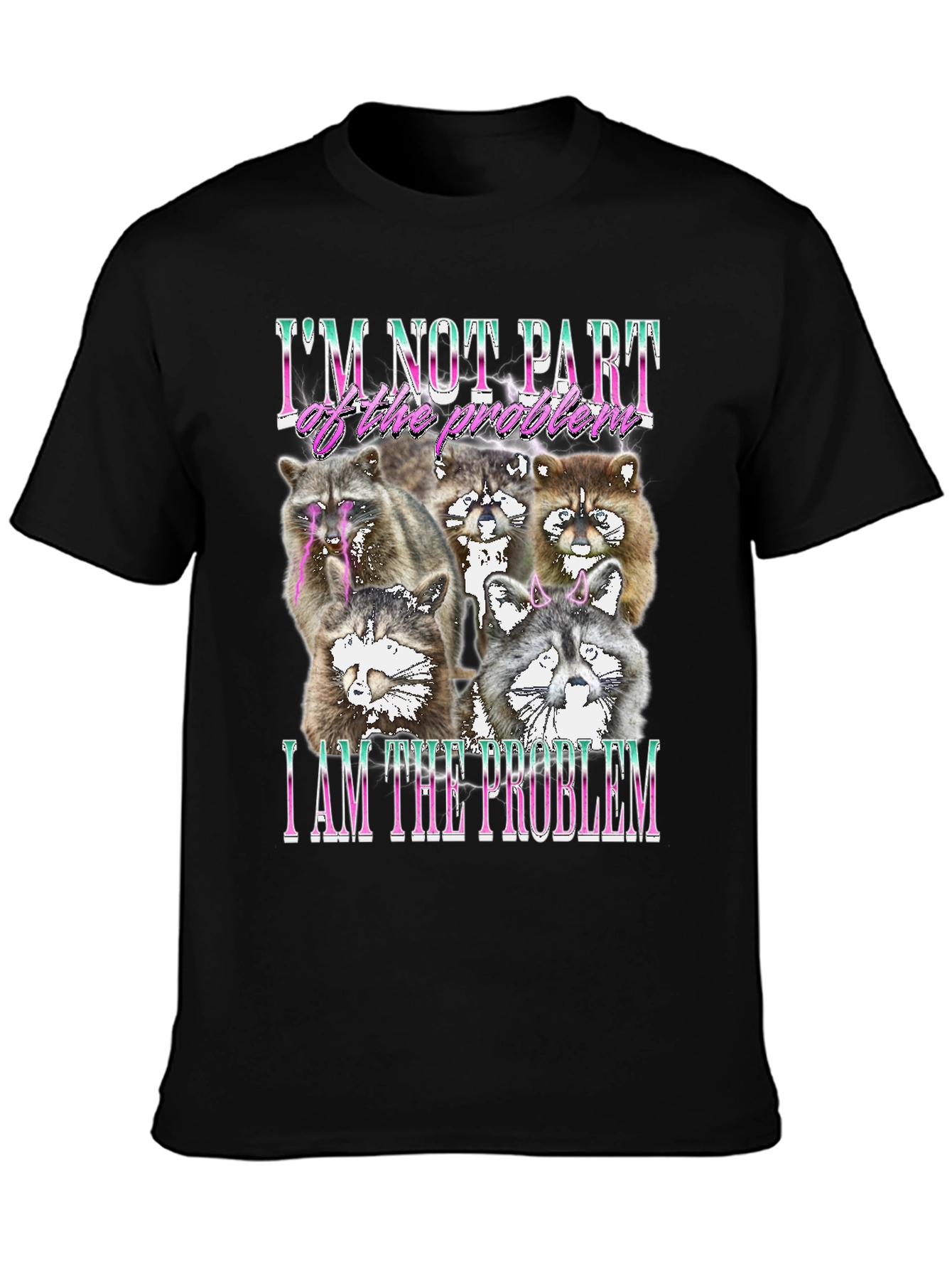 Raccoon I am the Problem Graphic Tee