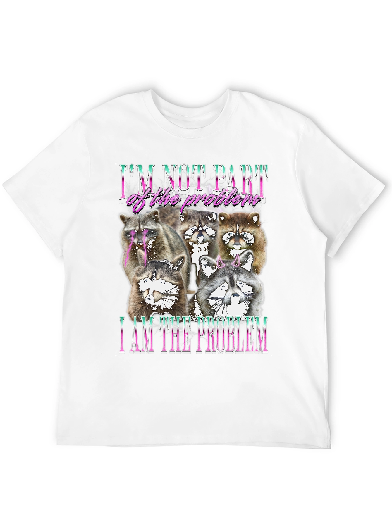Raccoon I am the Problem Graphic Tee