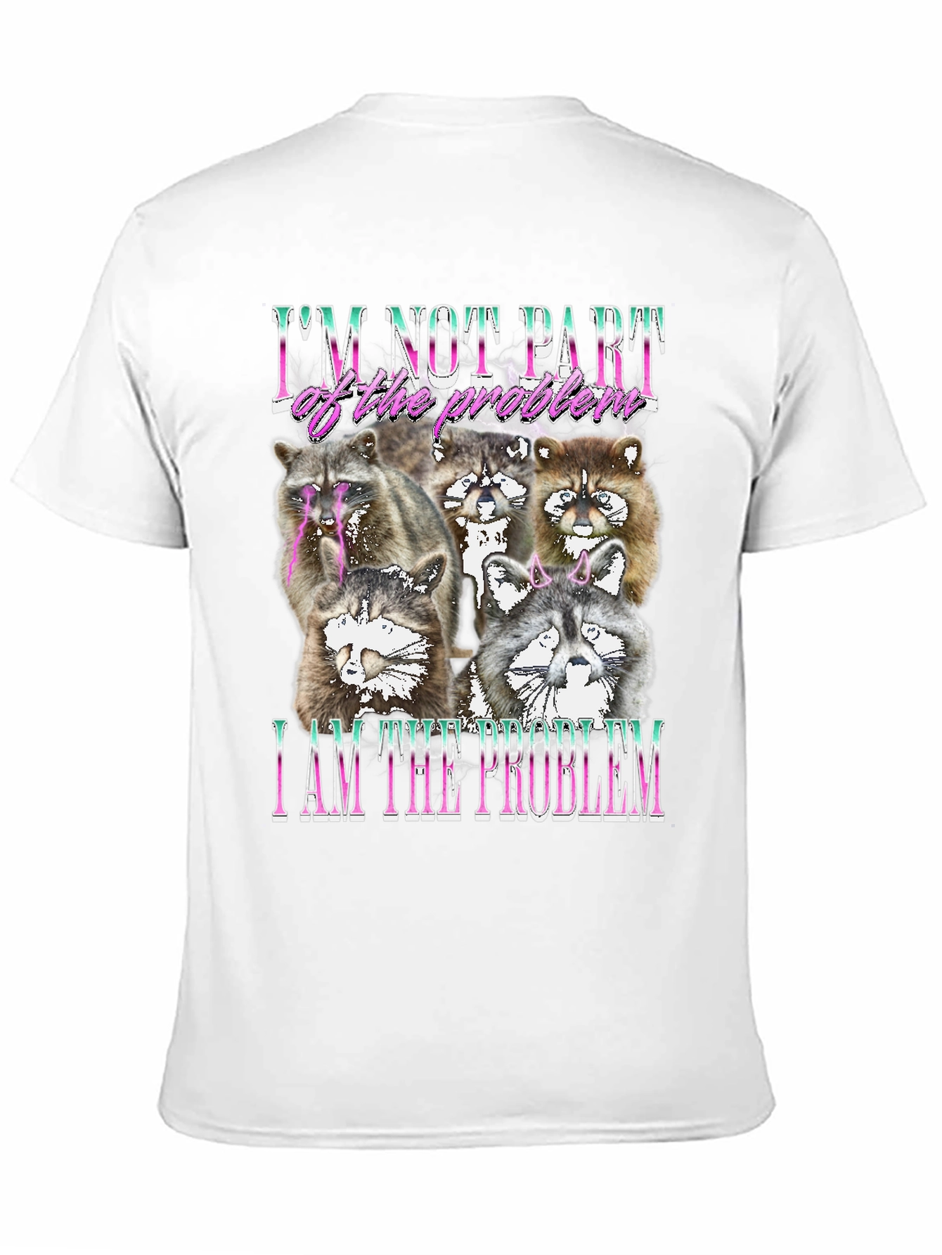 Raccoon I am the Problem Graphic Tee