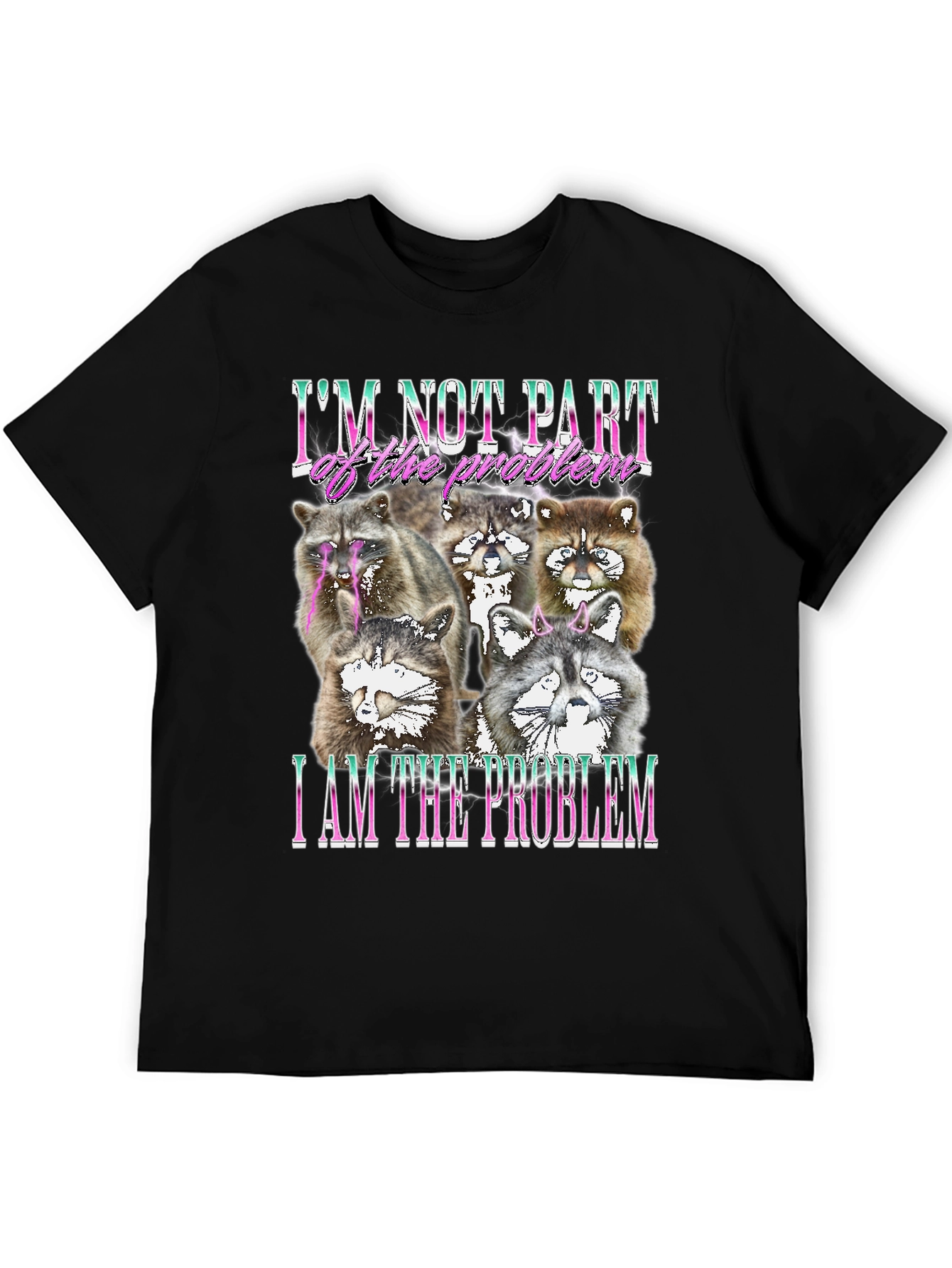 Raccoon I am the Problem Graphic Tee
