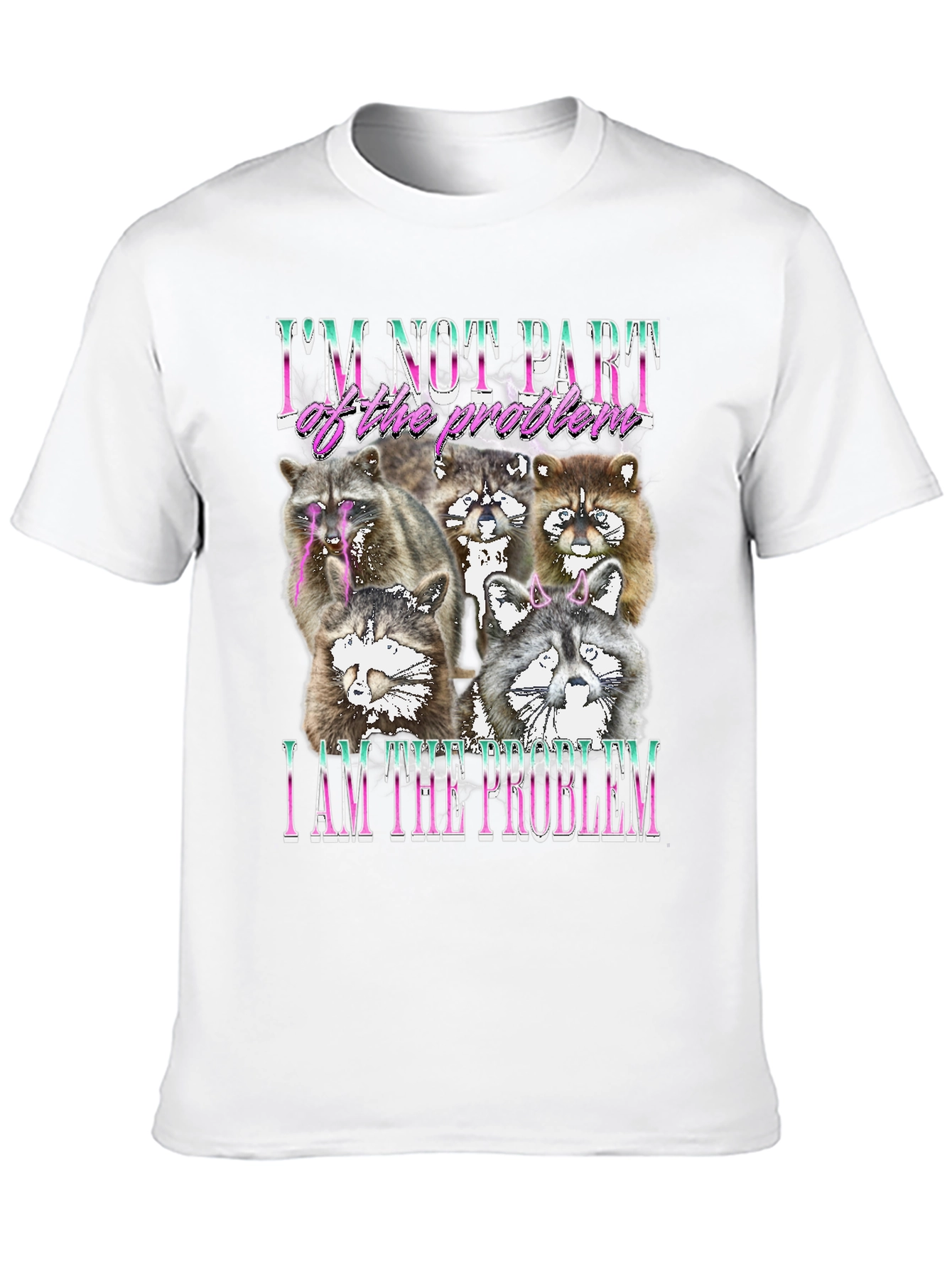 Raccoon I am the Problem Graphic Tee