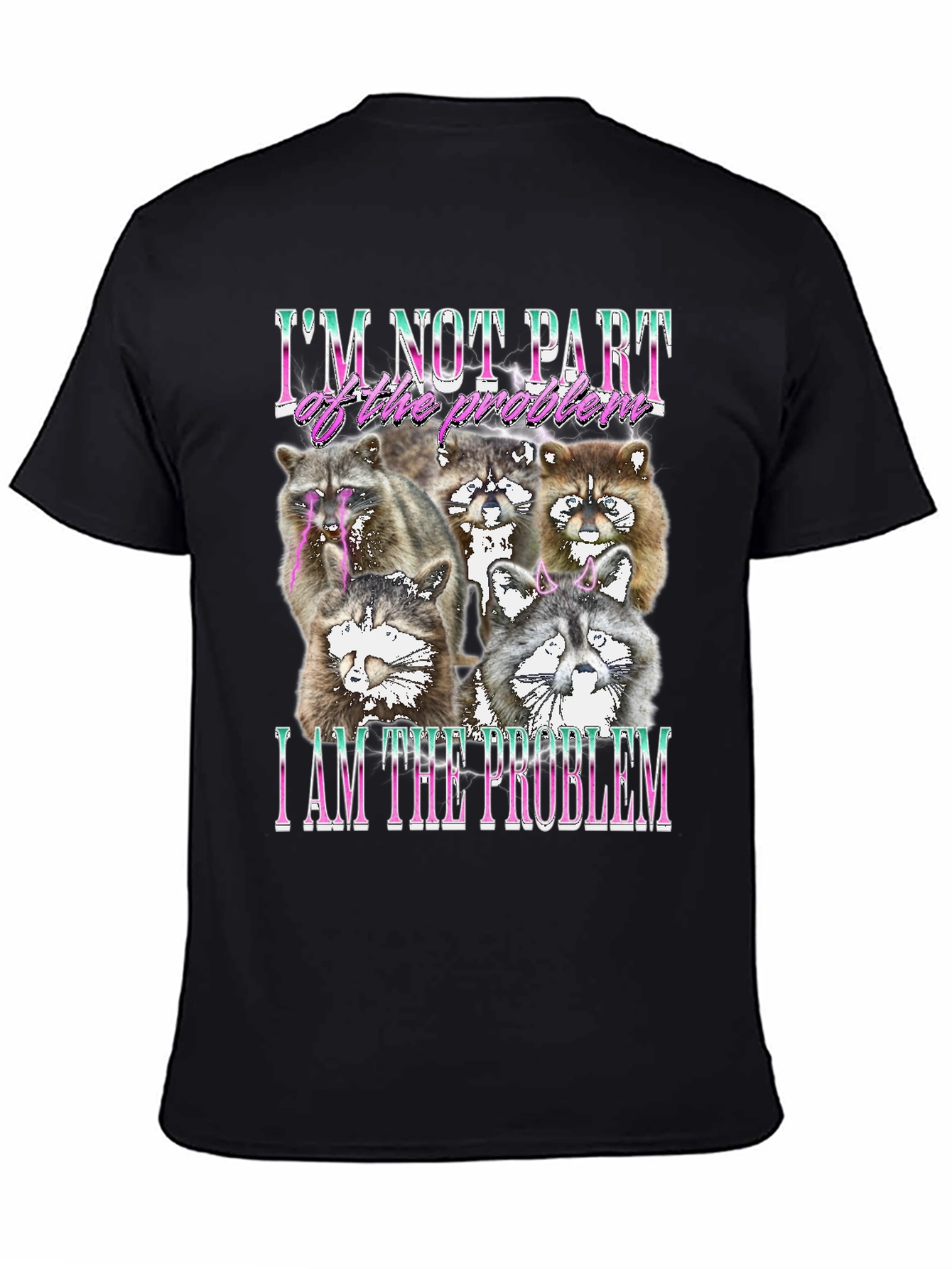 Raccoon I am the Problem Graphic Tee