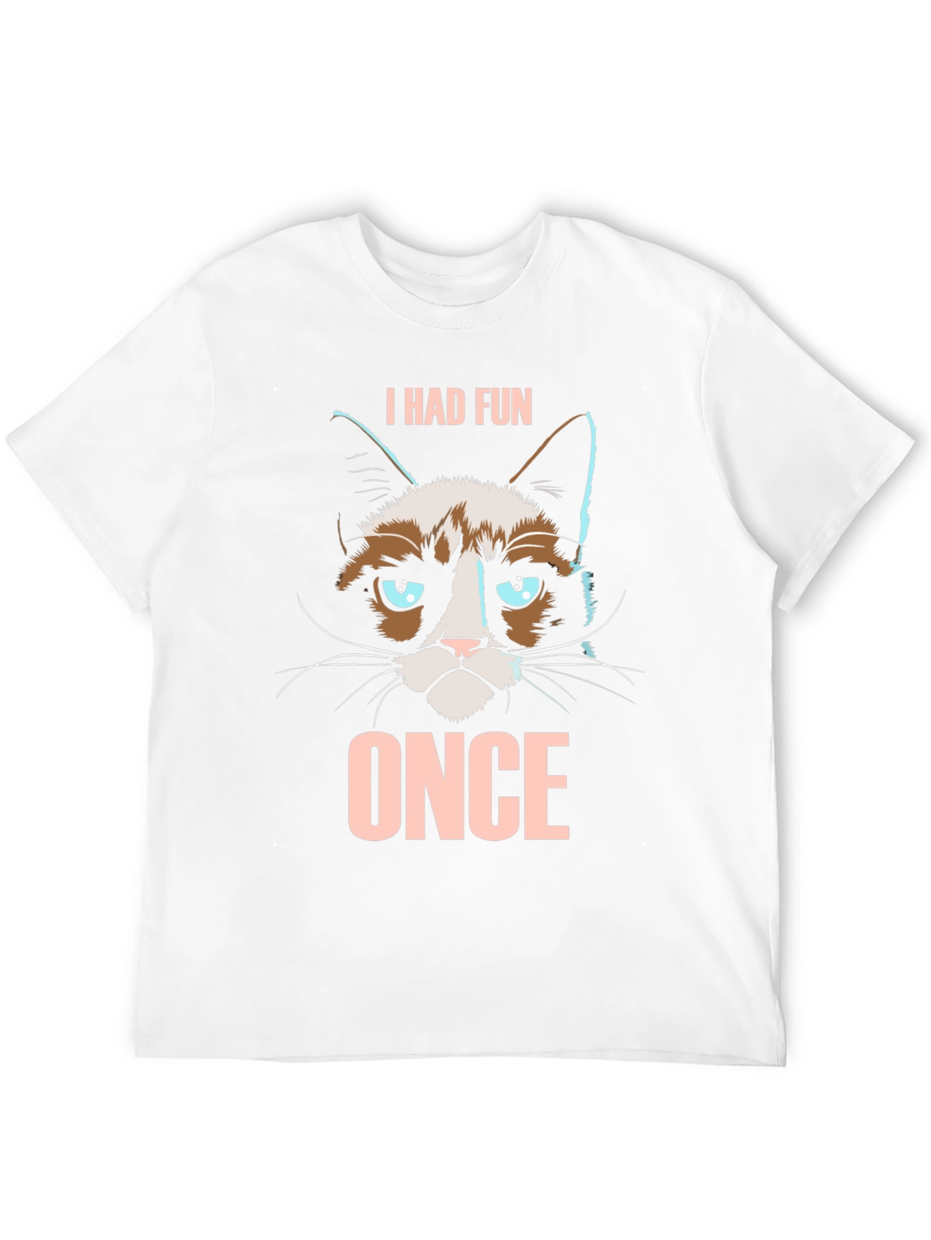Grumpy Cat I Had Fun Once Graphic T-Shirt
