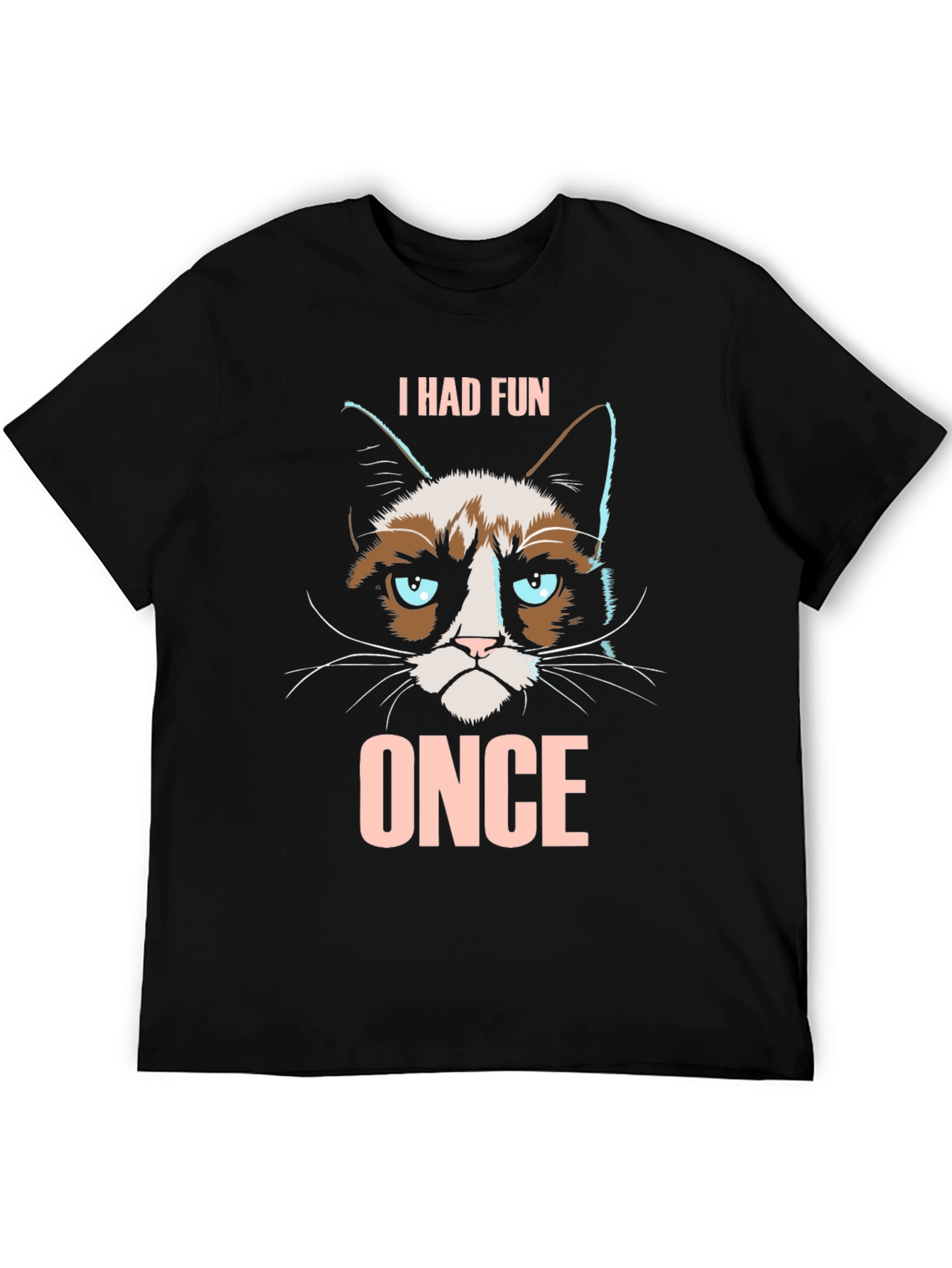 Grumpy Cat I Had Fun Once Graphic T-Shirt
