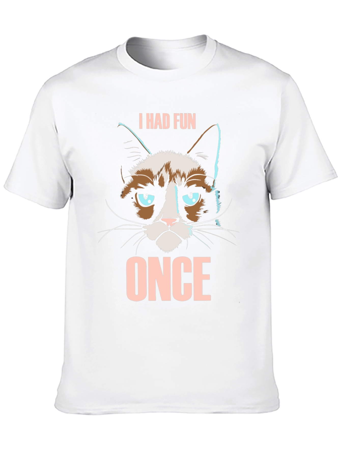 Grumpy Cat I Had Fun Once Graphic T-Shirt
