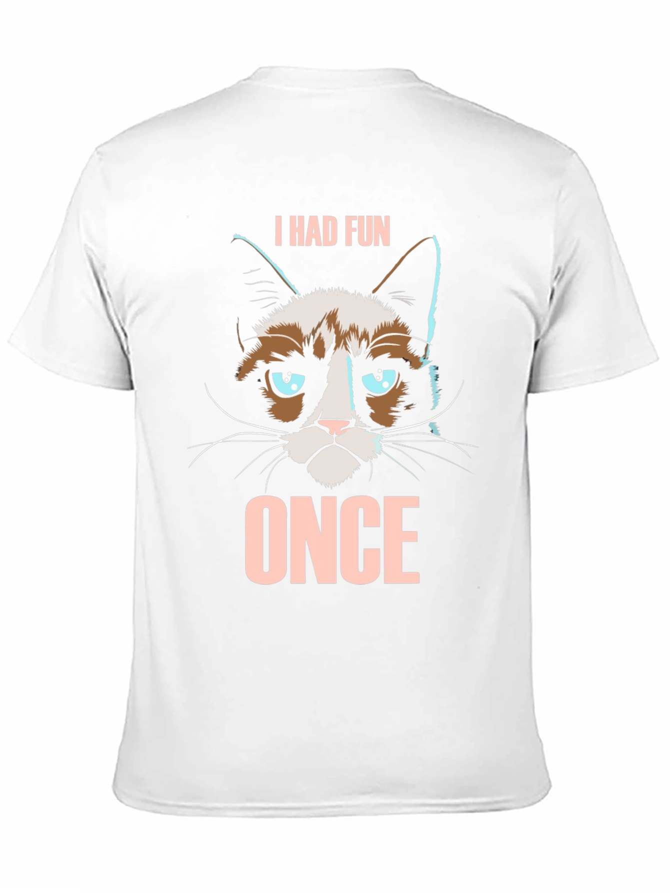 Grumpy Cat I Had Fun Once Graphic T-Shirt