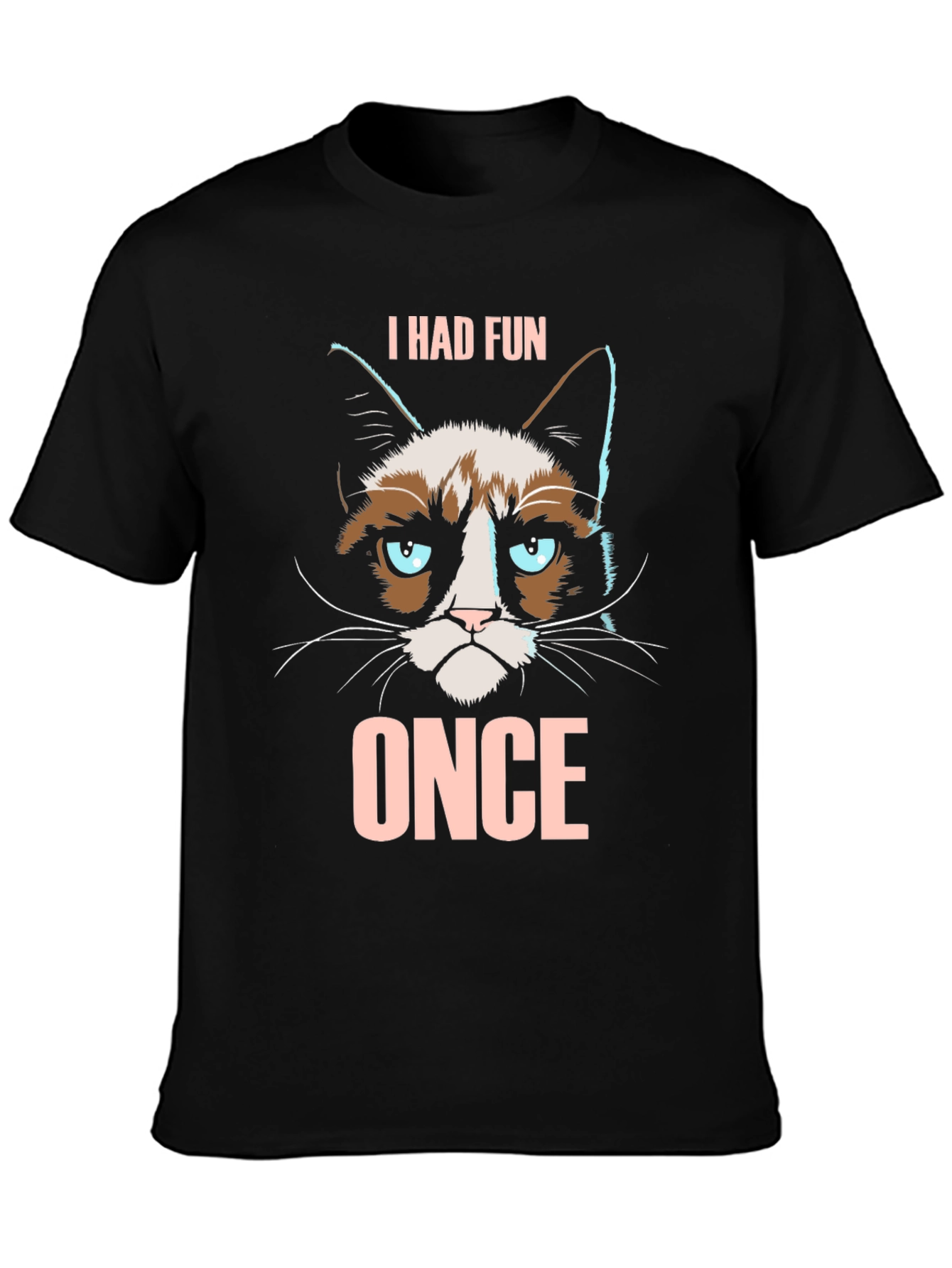 Grumpy Cat I Had Fun Once Graphic T-Shirt
