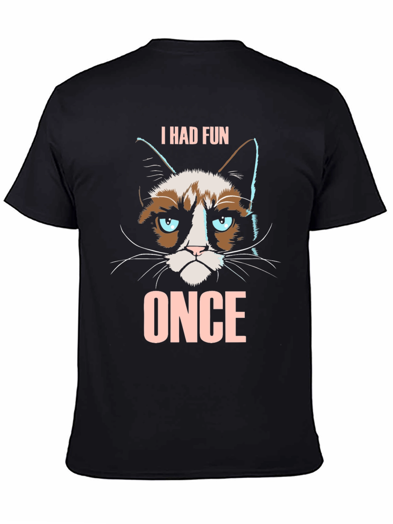 Grumpy Cat I Had Fun Once Graphic T-Shirt